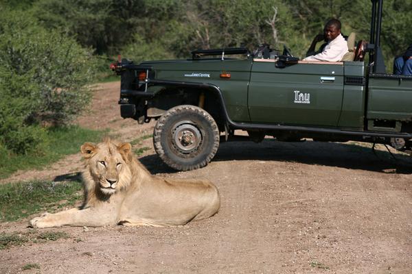 Tau Game Lodge Madikwe Game Reserve Exterior photo